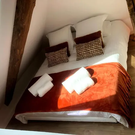 Loft Cosy Et Atypique